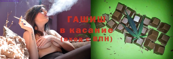 дмт Бородино