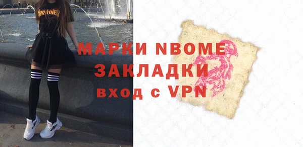 дмт Бородино