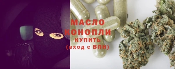 дмт Бородино