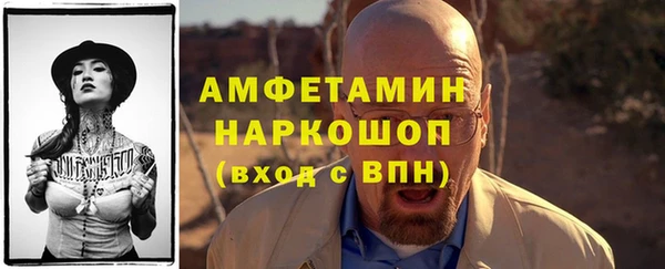 дмт Бородино