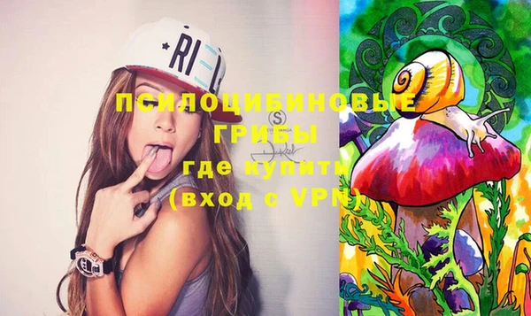 дмт Бородино