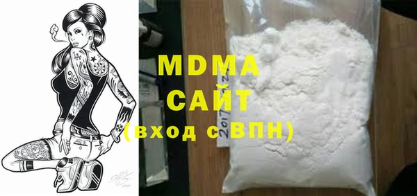 дмт Бородино