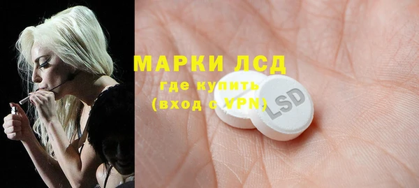 дмт Бородино