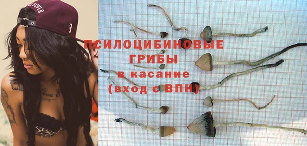 не бодяженный Богородицк