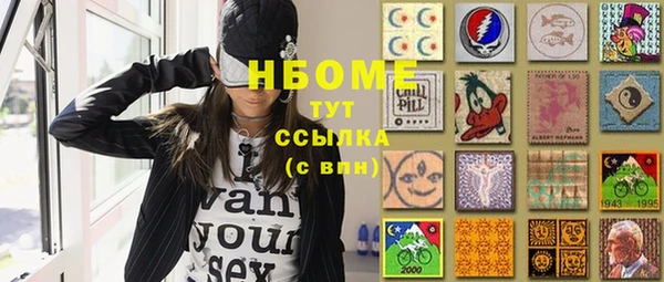 дмт Бородино