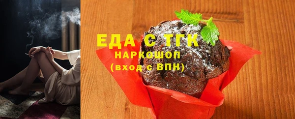 дмт Бородино