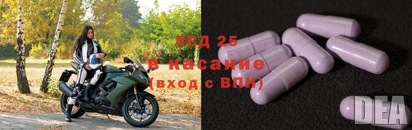дмт Бородино