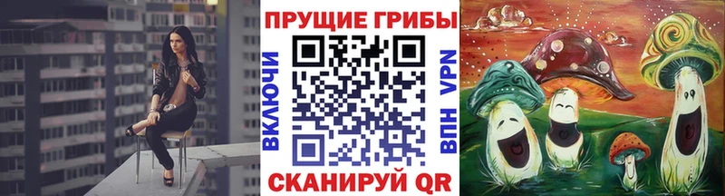 купить наркотики цена Колпашево Галлюциногенные грибы GOLDEN TEACHER